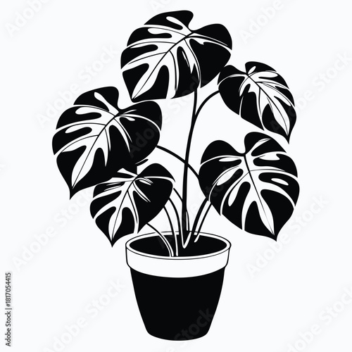 monstera deliciosa plant in a pot black and white silhouette