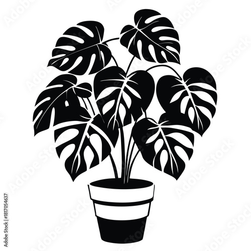 monstera deliciosa plant in a pot black and white silhouette