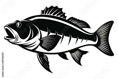 large mouth bass fish black and white silhouette