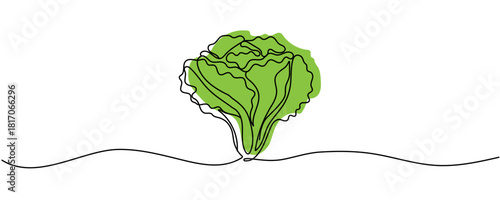 Lettuce bunch, vector illustration isolated on white background, Continuous one single minimal line drawing Lettuce, Lettuce continuous one line drawing, Lettuce Drawing. Editable stroke