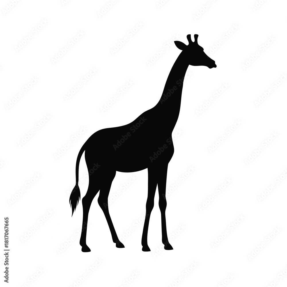 Fototapeta premium Giraffe silhouette animal vector design illustration isolated on background