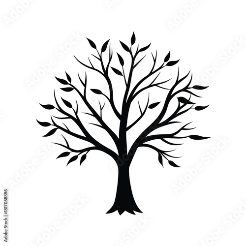 Tree With Leaves Branches and Trunk Forest Nature Plant Silhouette