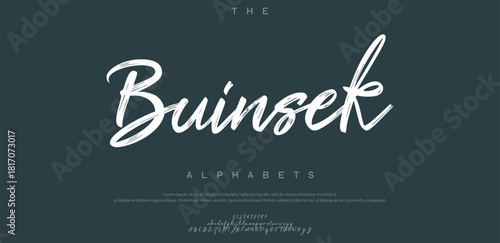 Best Alphabet Madison Street Calligraphy Signature Font lettering handwritten