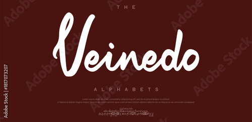 Lettering signature font isolated on grey background. style alphabet. Vector logo letters.