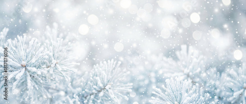 Winter landscape banner with snowy branches and soft blue bokeh
