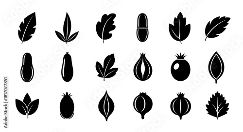 A versatile set of minimalist black silhouette vector icons showcasing diverse natural botanical elements, including various leaves, fruits, and seeds for modern designs.