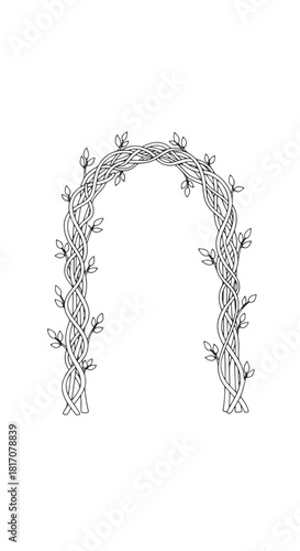 Elegant vine arch illustration with twisting leaves and floral border decor.