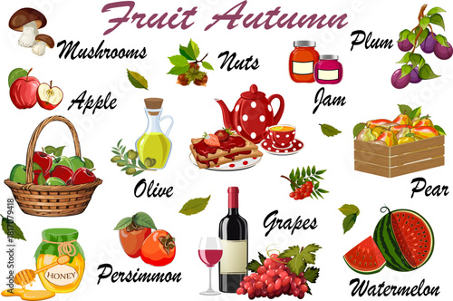 Vector collection of delicious autumn fruits.Colored vector collection of autumn berries, fruits and mushrooms on a transparent background with text.