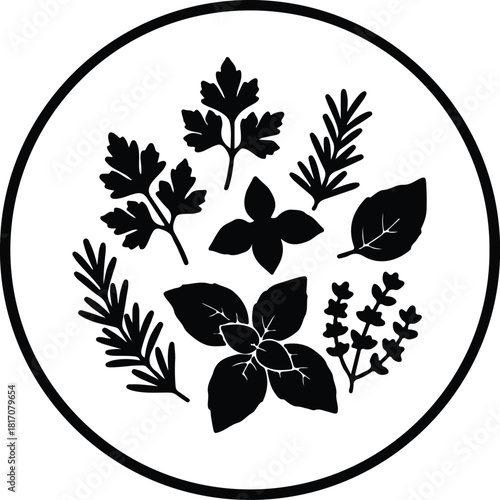 Illustrator Assorted culinary herbs arrangement in round frame Silhouette vector