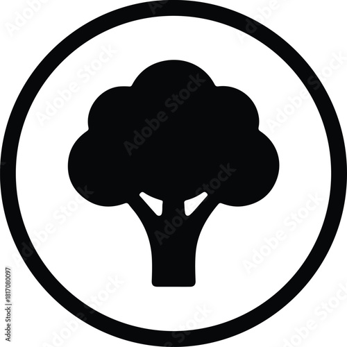 Illustrator broccoli healthy raw vegan food icon silhouette vector