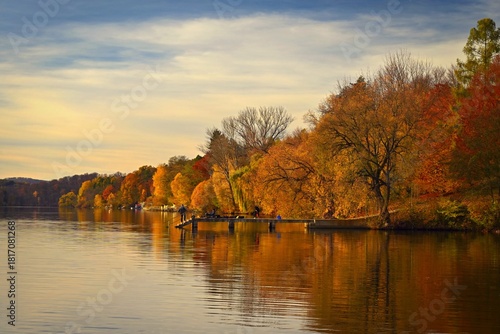 Beautiful colourful autumn leaves. Seasonal natural background. Fall time.