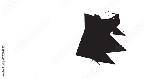 Abstract black polygonal network with white nodes and connecting lines forming a geometric constellation.