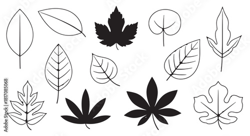Assorted botanical leaf outlines and silhouettes in grayscale arrangement.
