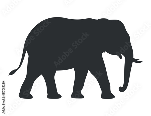 Elephant silhouette walking on transparent backdrop