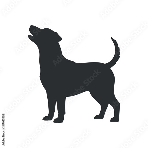 Silhouette of howling dog on transparent background