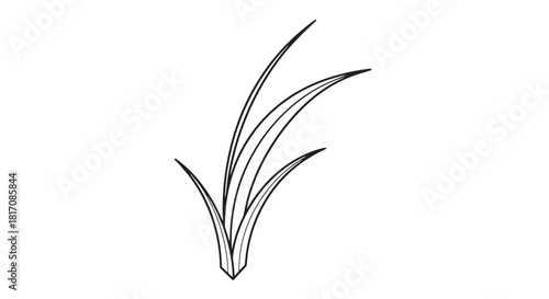 Minimal Line Drawing of a Grass Blade Plant Silhouette in Monochrome.