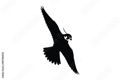 Silhouette of a peregrine falcon in flight against a white background