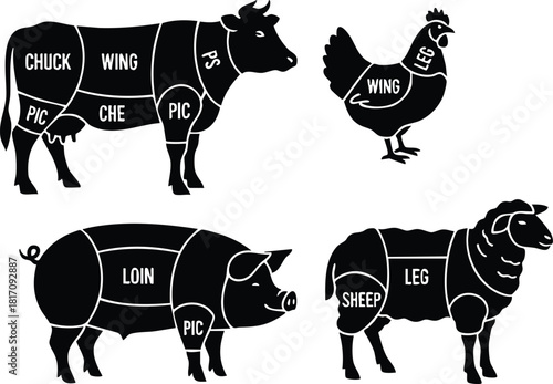 Animal meat cuts diagram showcasing beef, chicken, pork, and lamb for educational purposes 