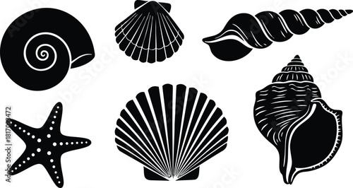 Sea shells and starfish vector illustration showcasing diverse marine life elements in a minimalist style 