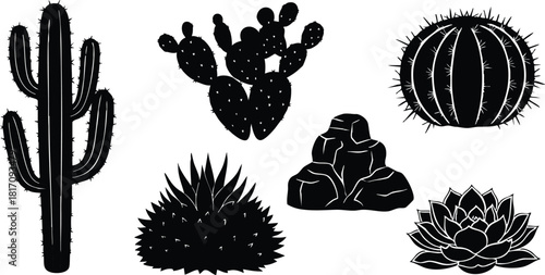 Cacti and succulents vector illustration showcasing various black silhouettes of desert plants and rocks for creative design projects 