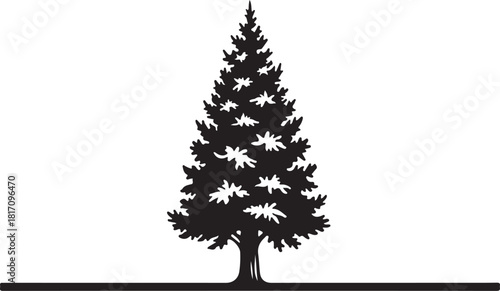 Pine Tree Silhouette, Isolated Evergreen Fir Tree on Transparent Backdrop