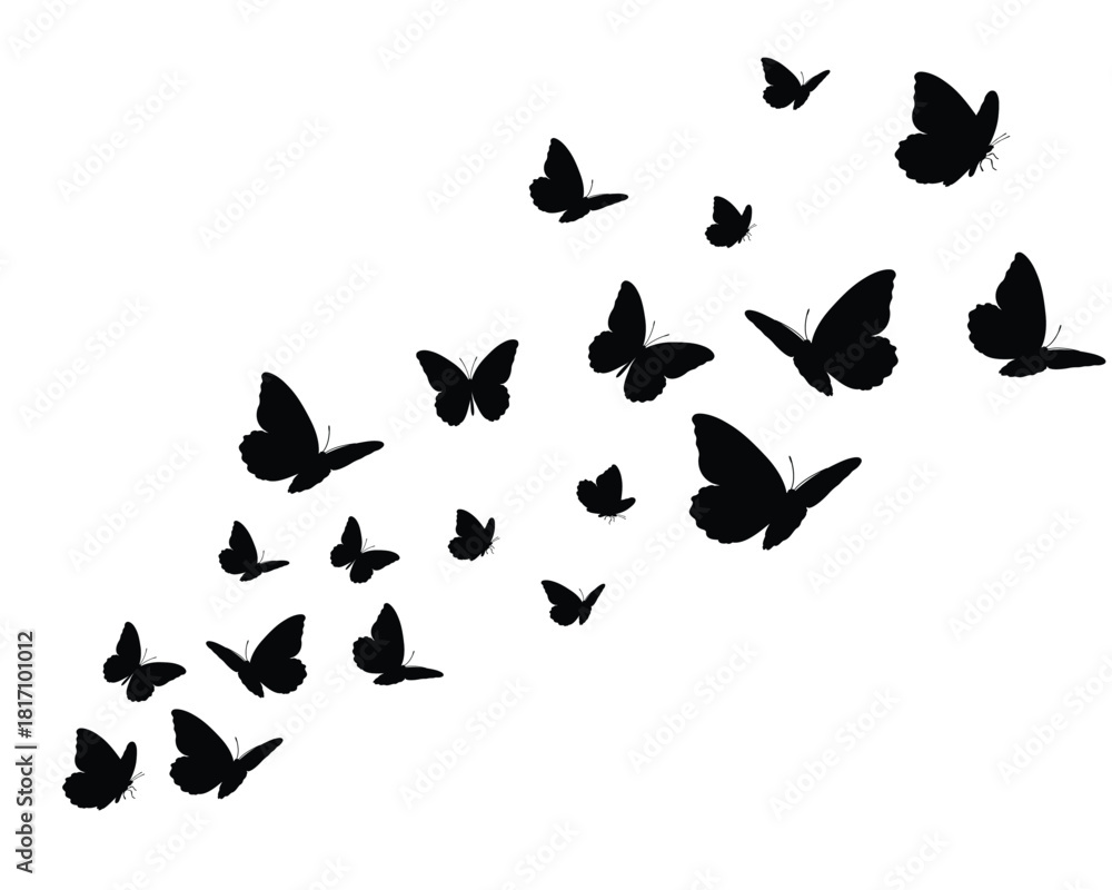 Obraz premium set of butterflies flock