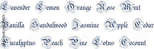 Popular natural fragrances, names in a beautiful font, text on a transparent background