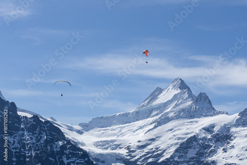 first cliff walk tour in grindewald