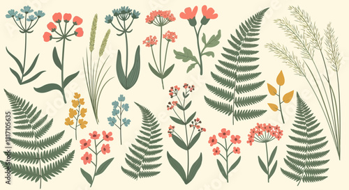 Beautiful floral and fern illustrations with various flowers and leaves in a vintage botanical style