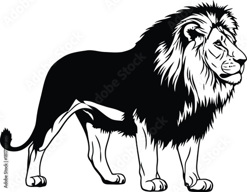 Majestic lion illustration powerful feline with detailed mane in black and white