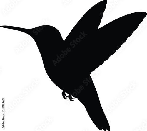 Hummingbird silhouette in flight against white background for graphic design projects