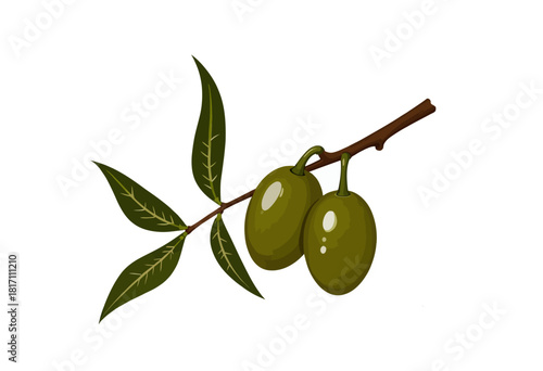 Realistic Illustration of Olive Branch with Vibrant Green Olives and Lush Leaves Against a Clean White Background