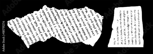 Torn French Newspaper Pieces Isolated