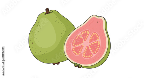 Detailed illustration of a whole green guava fruit next to one sliced in half showing the vibrant pink flesh and seeds.