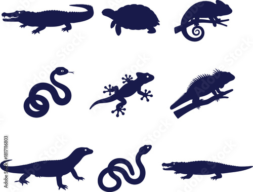 Assortment of Reptile and Amphibian Silhouettes on White Background alligator turtle