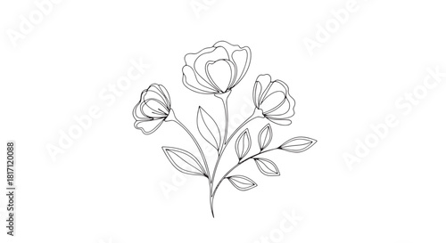 Delicate line drawing of blooming roses with leaves in monochrome illustration.