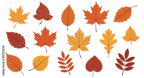 An assortment of colorful autumn leaves scattered on a white background