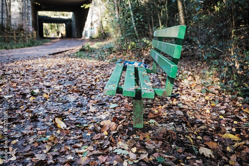 Empty green park bench in an autumn forest path, leaves scattered around.