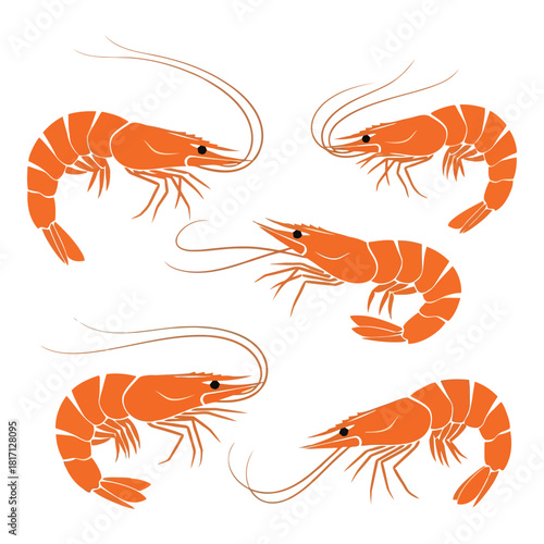 Set of five stylized orange shrimp illustrations on a white background