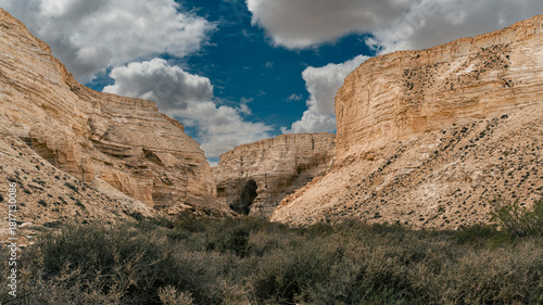Photos A scenic landscape captured in the Ein Avdat desert canyon region, showcasing dramatic cliffs, natural rock formations, and the unique textures of the Negev landscape