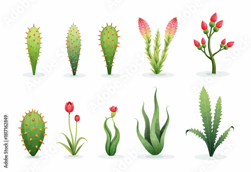 Illustration Featuring a Diverse Collection of Colorful Cacti and Succulents Showcasing Different Shapes, Sizes, and Blooming Flowers on a White Background