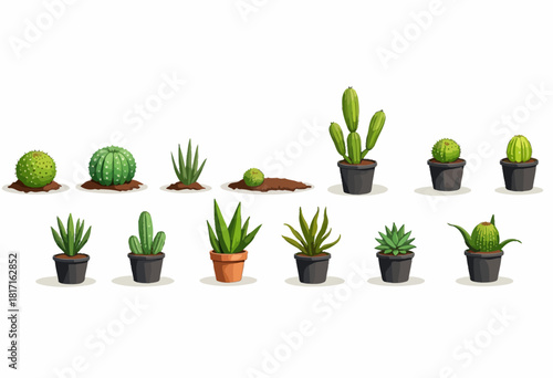 A diverse collection of various cacti and succulent plants in pots and ground soil, featuring a range of shapes, sizes, and textures on a white background