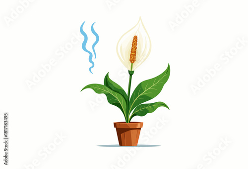Serene Peace Lily in Terracotta Pot with Unique Aromatic Vibes Illustrating Botanical Elegance and Indoor Greenery Aesthetic