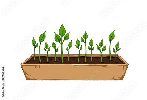 Illustration of young green seedlings sprouting from a rectangular planter box filled with soil, depicting early growth stages of plants in a gardening setting