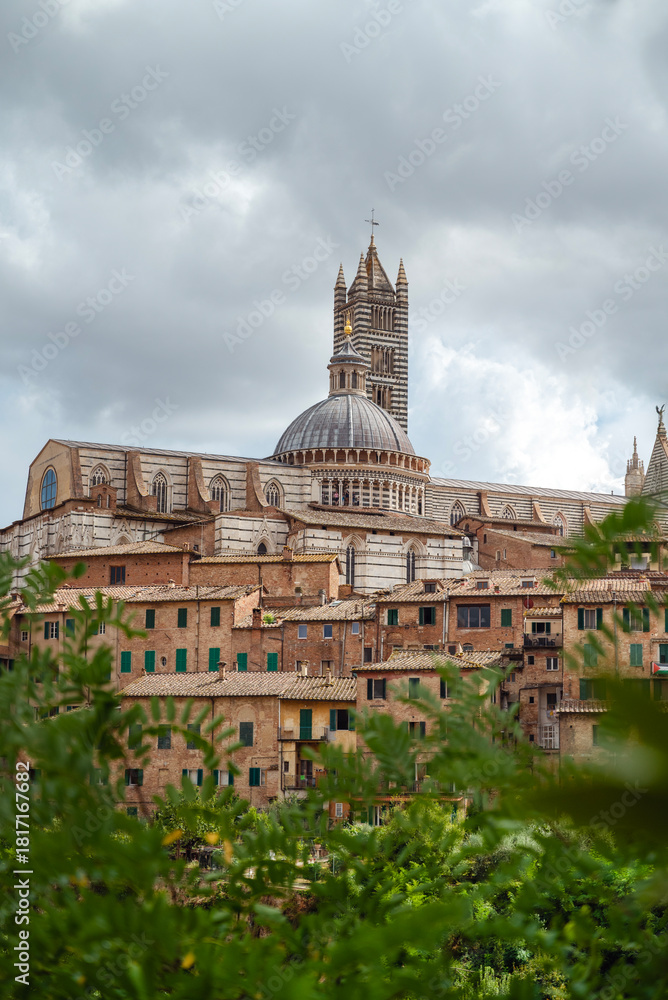 Obraz premium Siena city view with Mangia Tower and Cathedral , Siena, , Tuscany, Italy