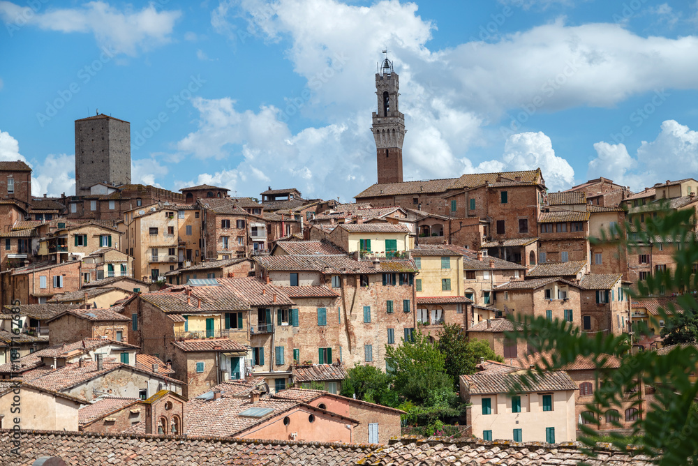 Fototapeta premium Siena city view with Mangia Tower and Cathedral , Siena, , Tuscany, Italy