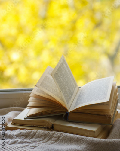 open book on blurred nature background, free copy space