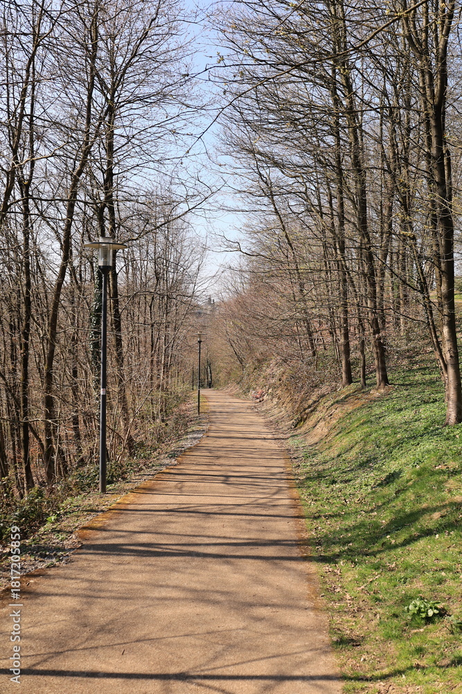 Fototapeta premium Sonniger Frühlingstag im Herminghauspark im Zentrum der Stadt Velbert in Nordrhein-Westfalen