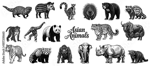 Collection of Asian animals in line art style