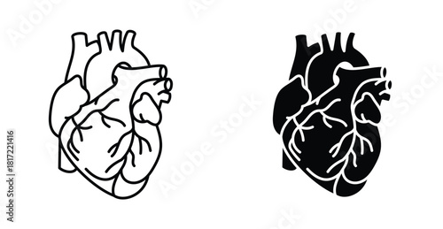 Human heart icon graphic design. Vector icon illustrations